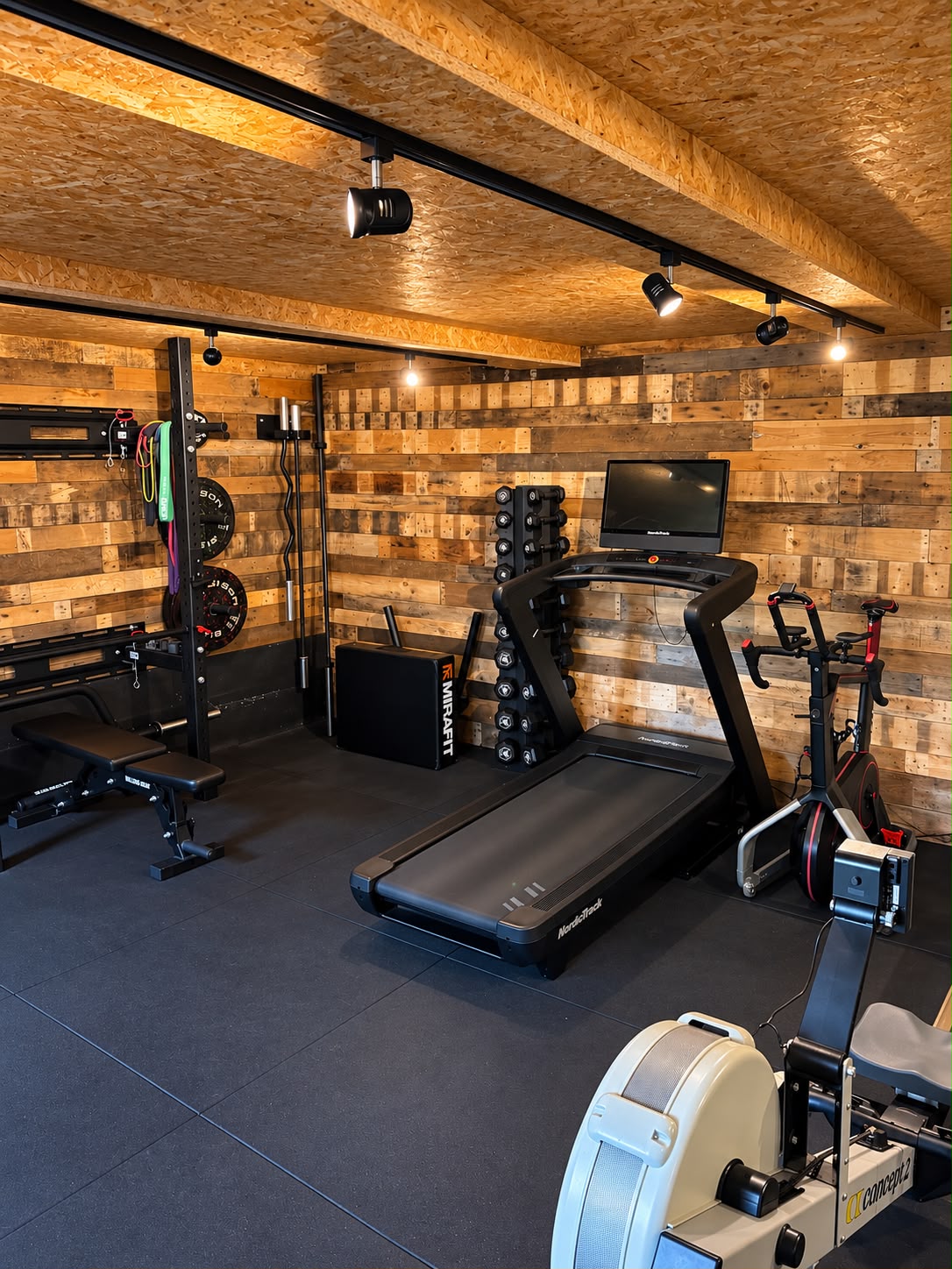 The cardio corner — treadmill, exercise bike, Concept2 rower and dumbbell rack under track lighting